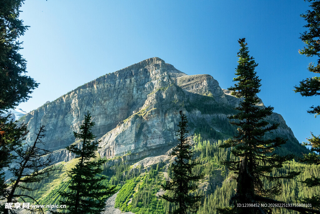 巍峨山峰与葱郁林木景观