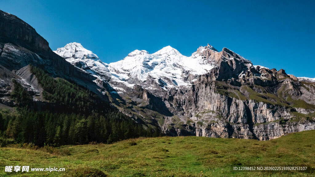 壮丽雪山下的翠绿草地