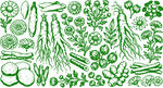 手绘绿色药材职务图案集合