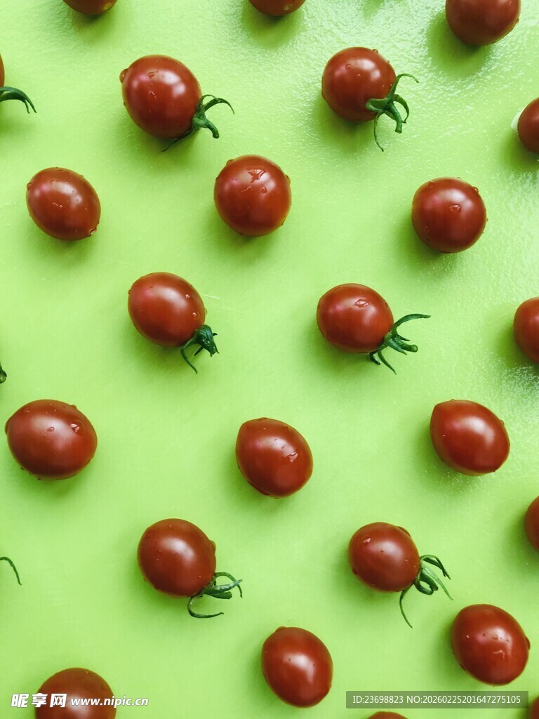 绿底排列的新鲜小番茄
