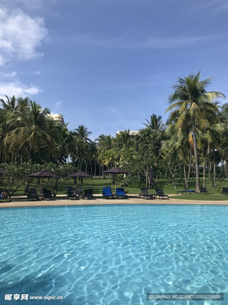 热带泳池边的惬意风光