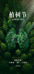 绿意盎然的植树节森林