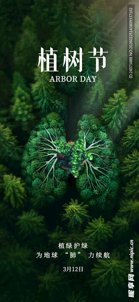 绿意盎然的植树节森林