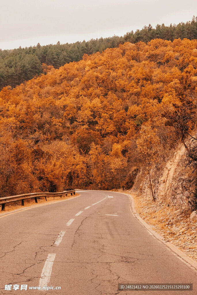秋日蜿蜒山路美景