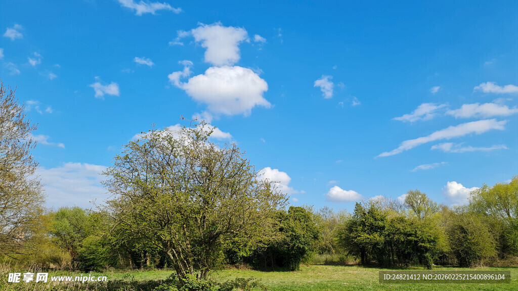 蓝天白云下的绿意景致