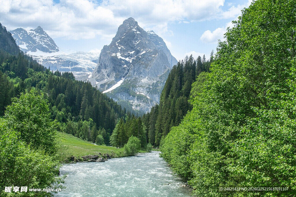 山间溪流旁的秀丽山林景色