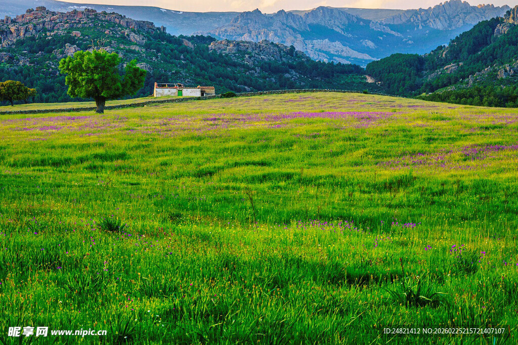 绿色原野与远处山峦美景
