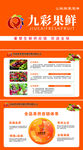 九彩果鲜网站页面展示