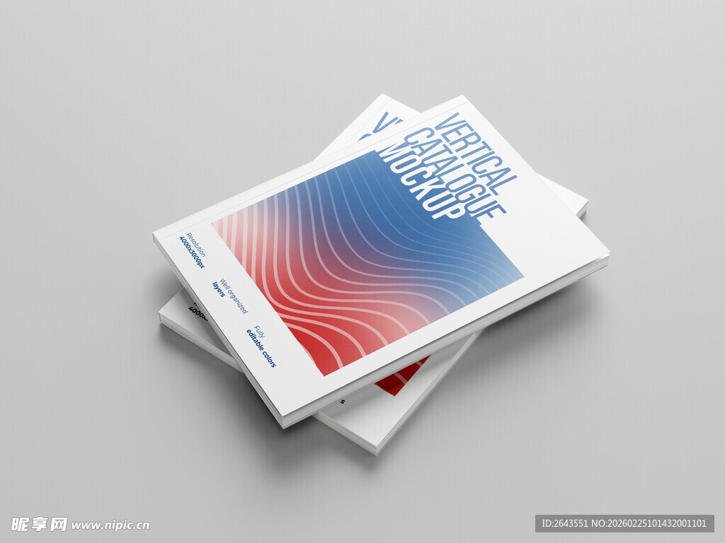 画册样机书籍宣传手册贴图效果三