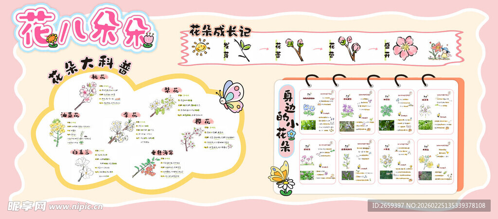 卡通花朵简介展板