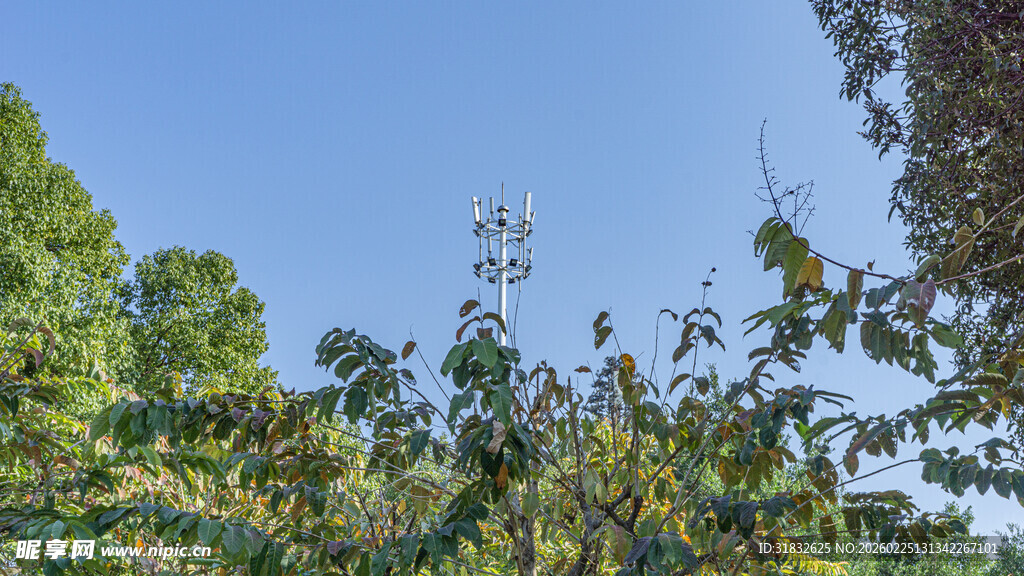 林间通信基站