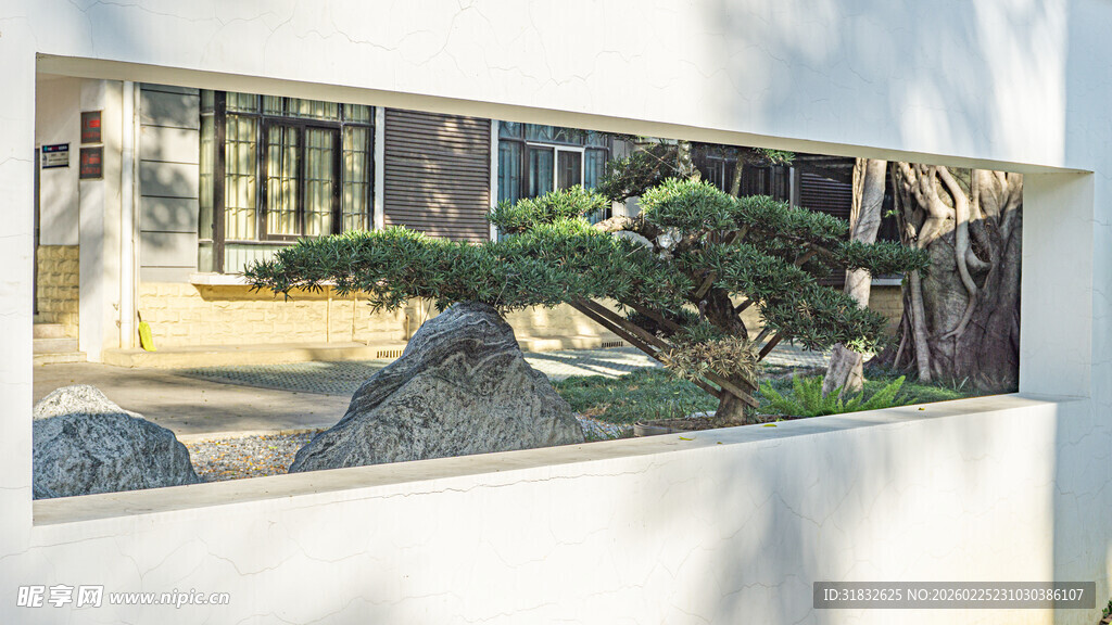 窗景中的雅致盆景