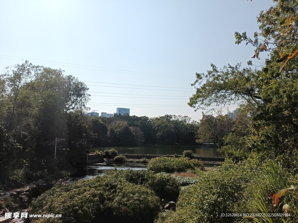 户外绿意盎然的自然景致