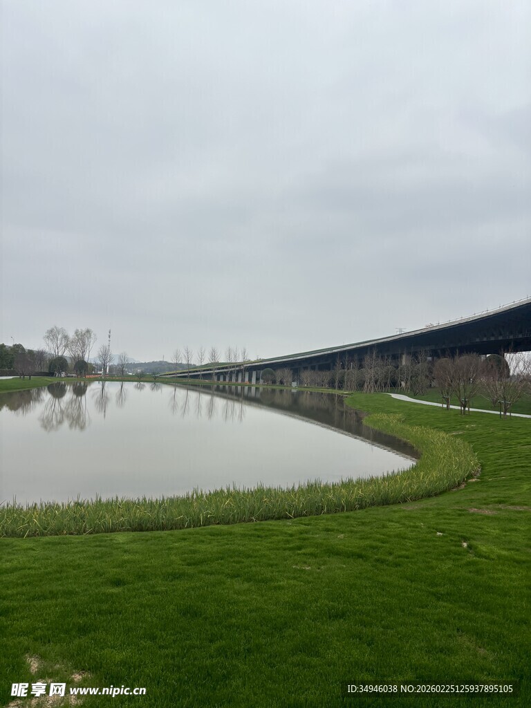 田园池塘畔的宁静景致