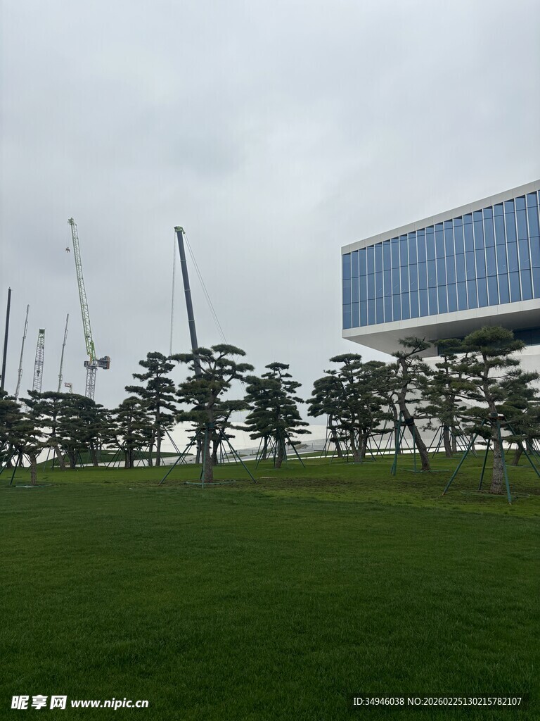 城市绿地旁的现代建筑