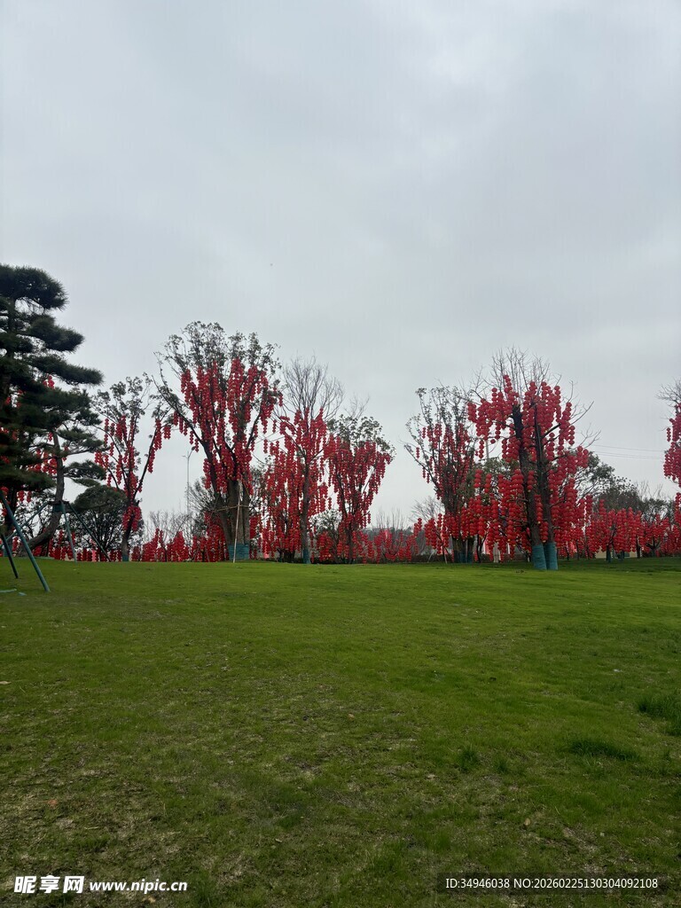 草地旁红叶树木景观