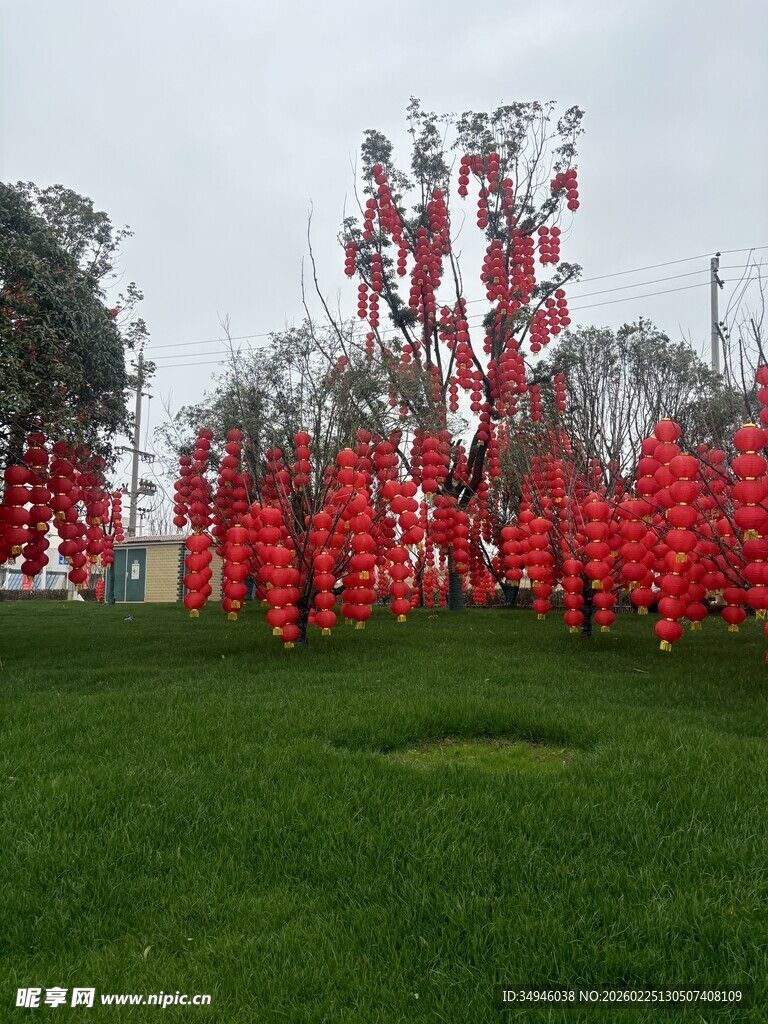 草坪上的红色灯笼景观