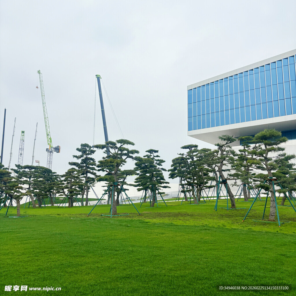 绿草如茵旁的现代建筑