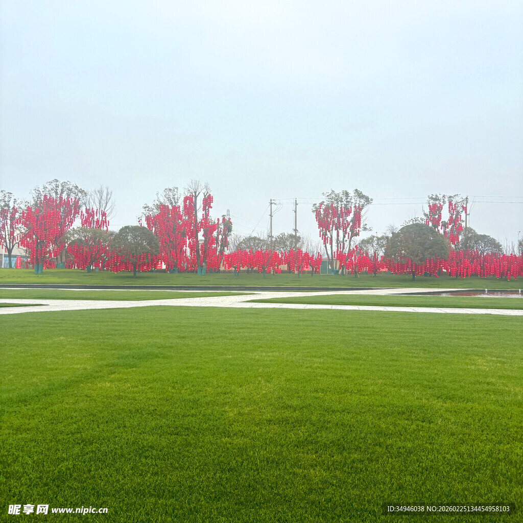 绿茵红树的美丽户外景致