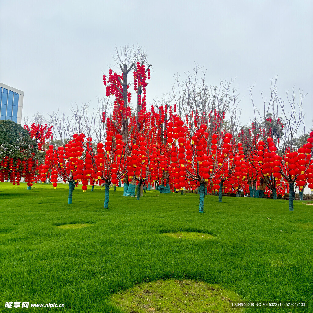 绿地中的艳丽红树景观