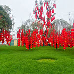 草坪上的红色祈福牌树