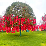 树上挂满喜庆红灯笼