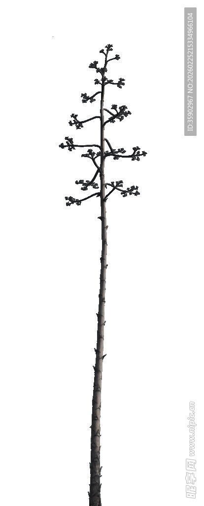 单株简约植物线条图