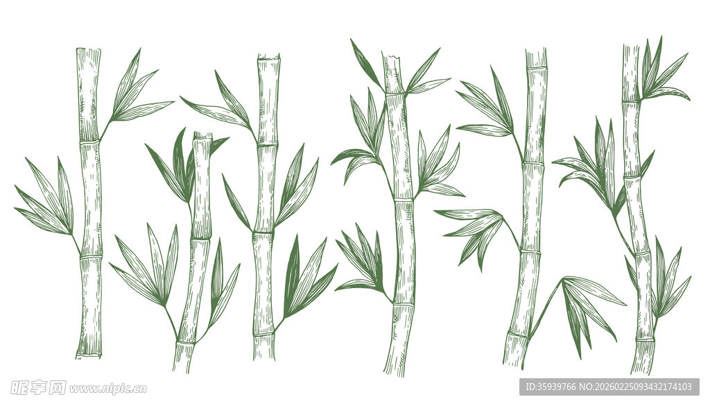 手绘竹子图案