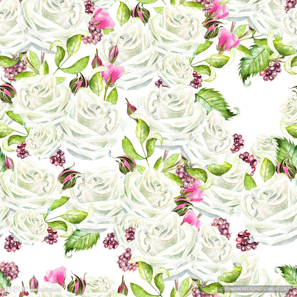 白色玫瑰花卉图案背景无缝循环