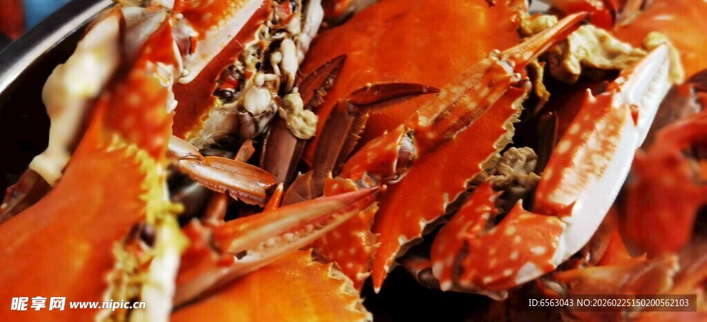美味大闸蟹特写