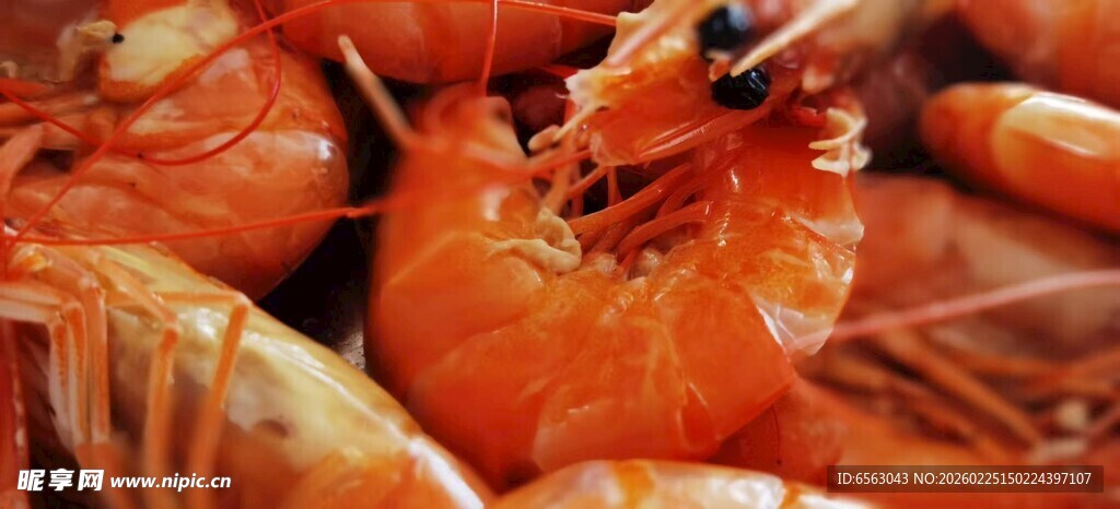 新鲜诱人的大虾特写