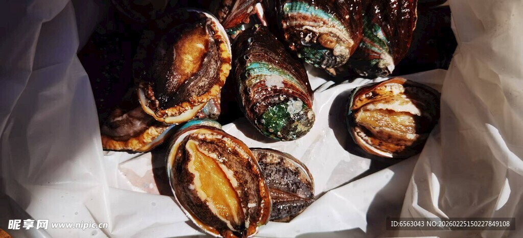 美味烤贻贝 诱人海鲜佳肴
