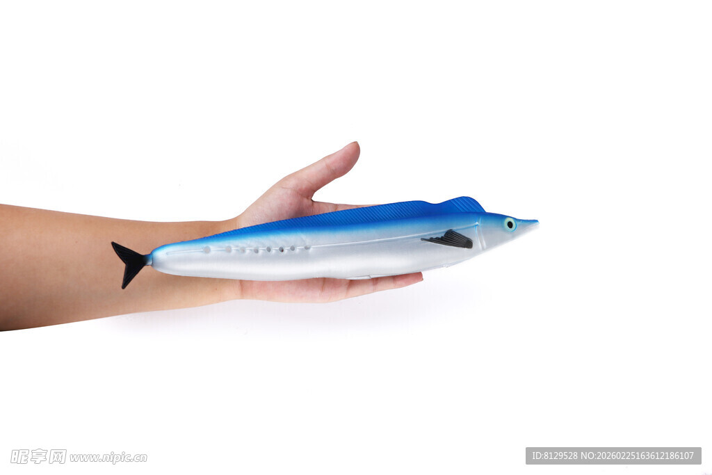 手持蓝白色仿真塑胶鱼