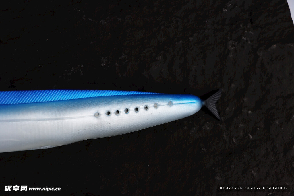 蓝白流线型飞机机头特写