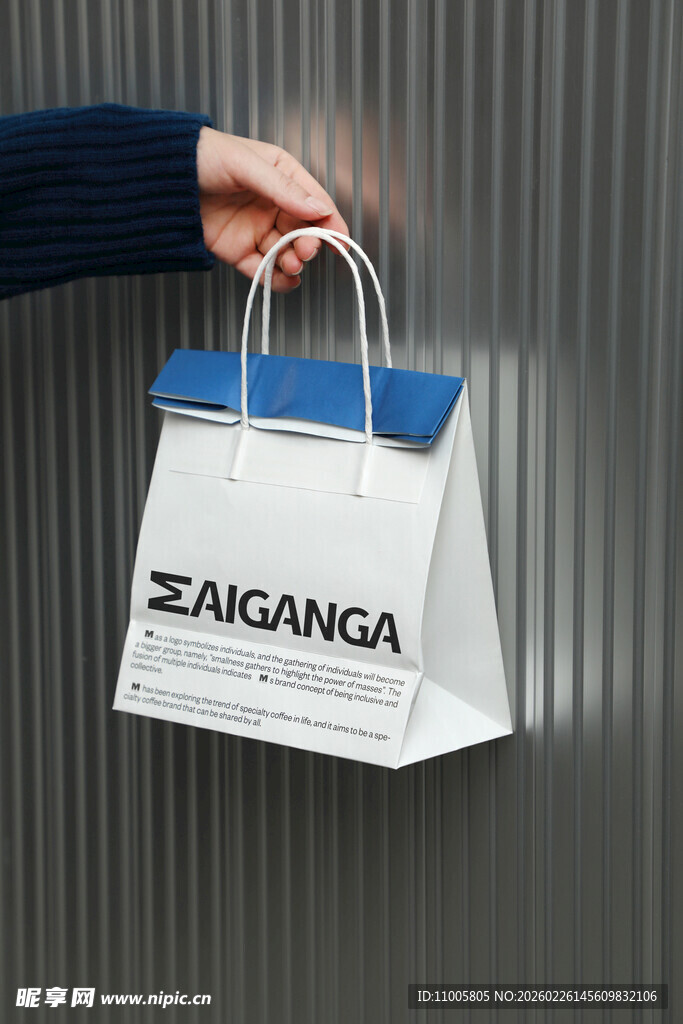 手提袋ZARA购物袋 样机