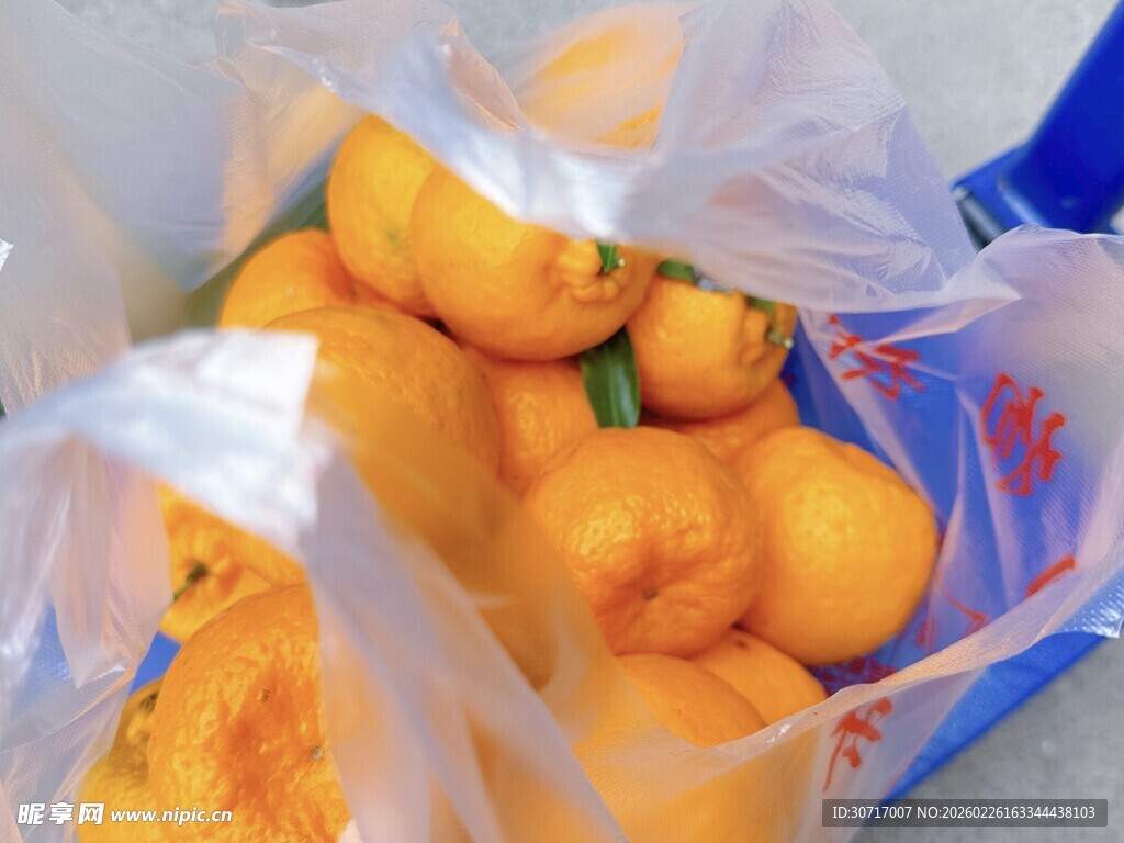 袋装新鲜橙子待售