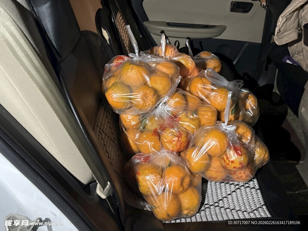 车内满载袋装柑橘