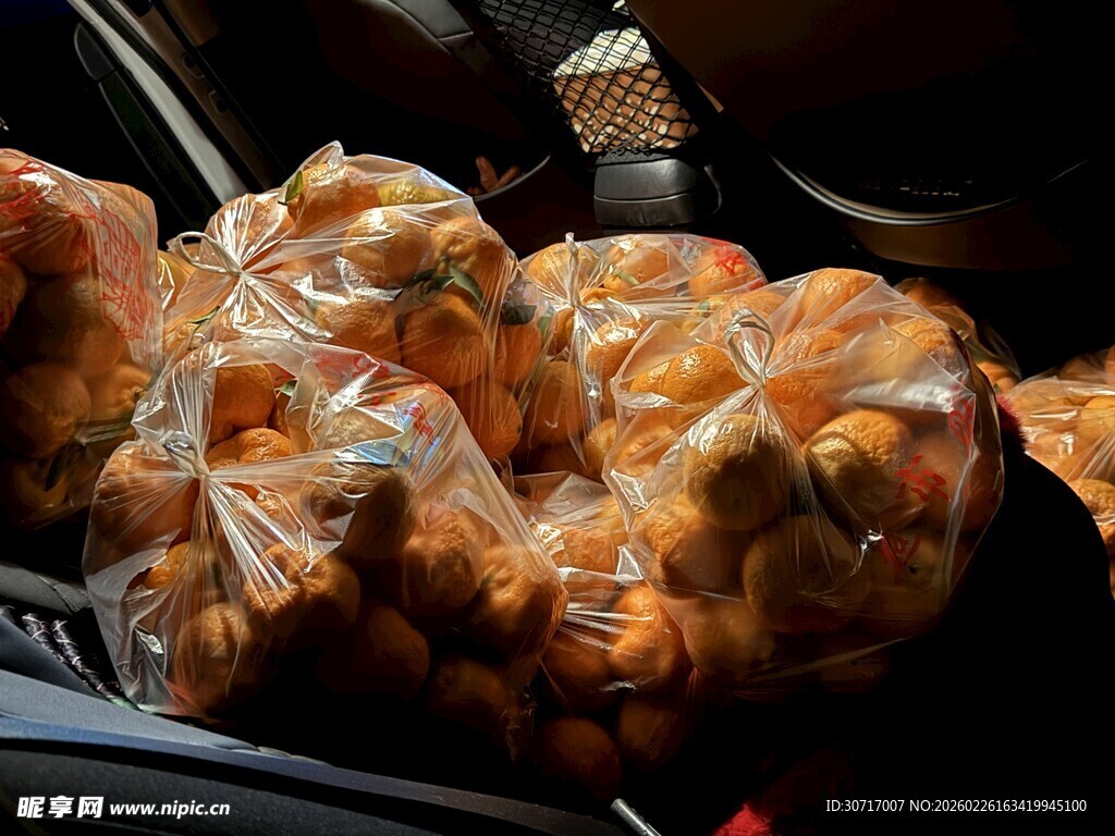 车内满载的袋装食品