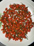 盘中鲜艳的枸杞