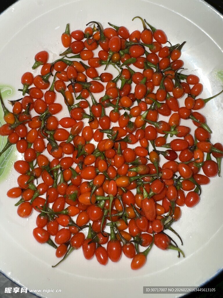 盘中鲜艳的枸杞