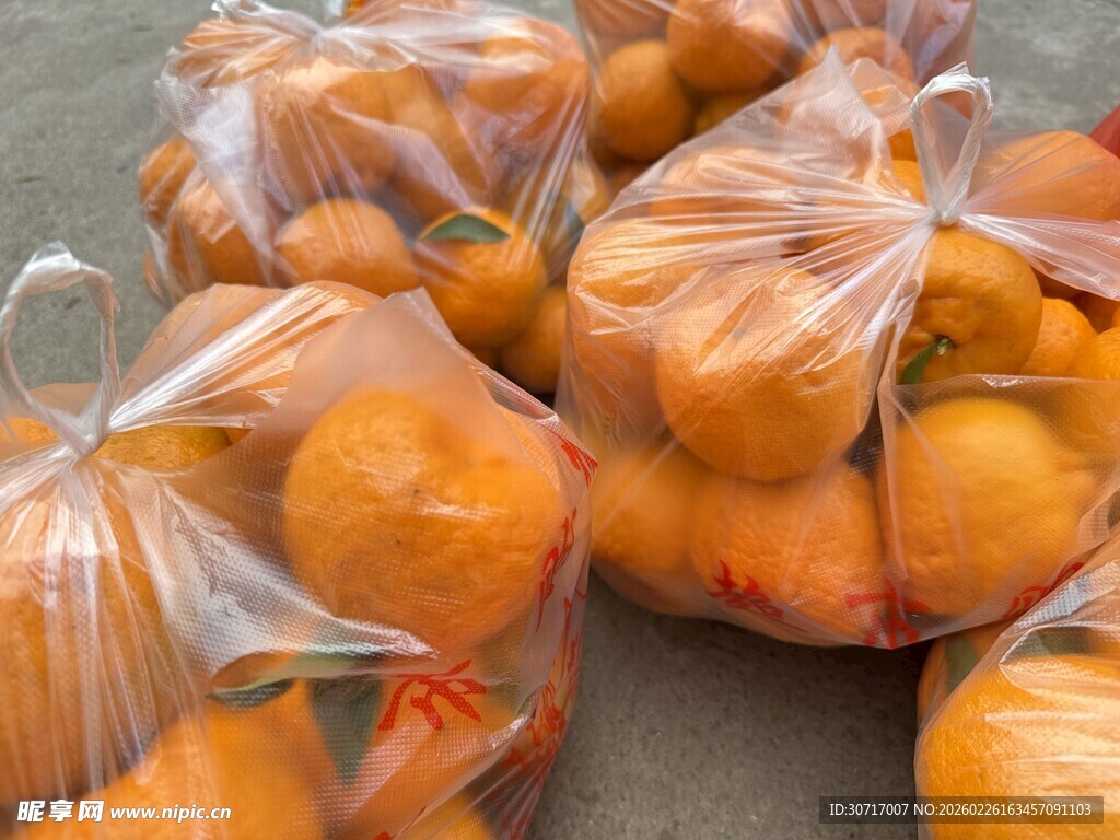袋装新鲜橘子堆放在一起
