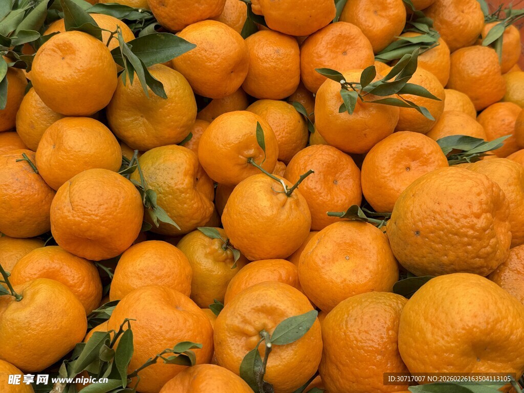 饱满橘子堆