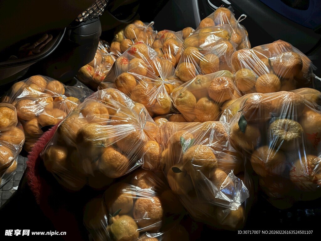 袋装柑橘整齐摆放