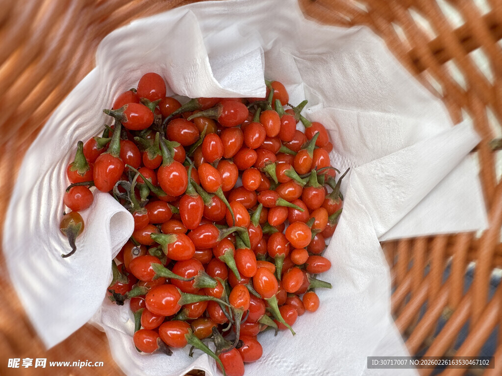 竹篮中的鲜艳红枸杞