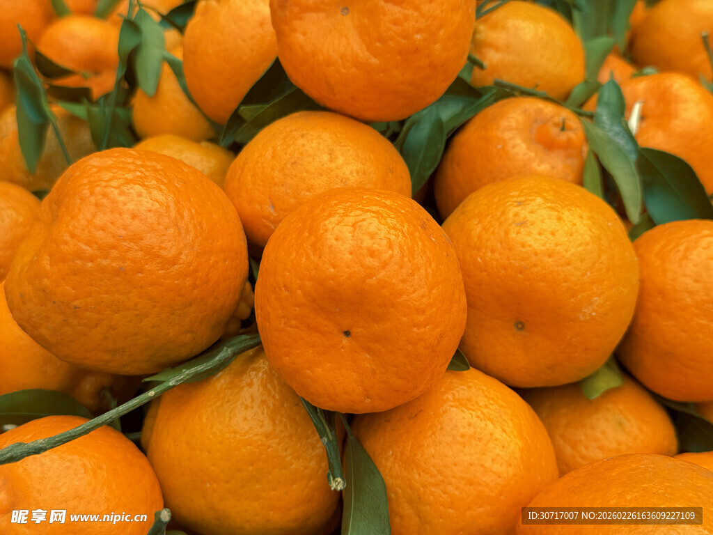 一堆新鲜饱满的橘子