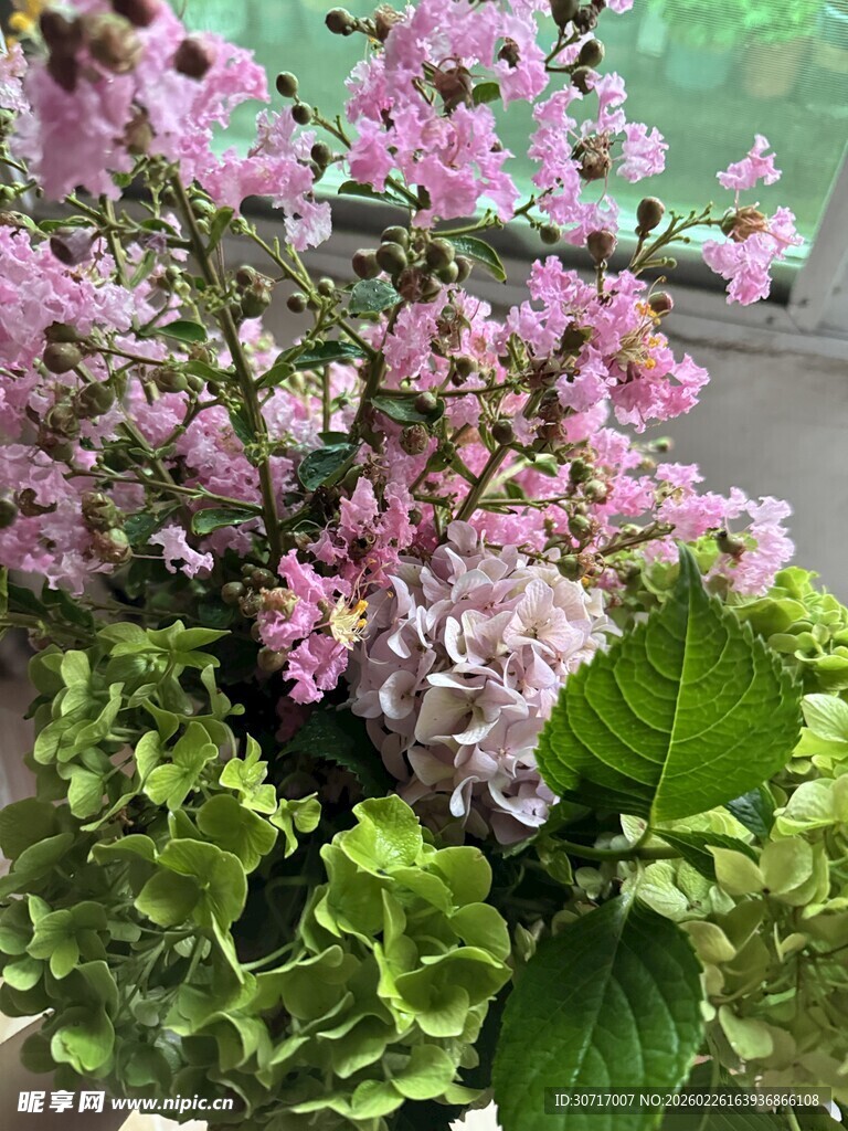 娇艳粉花配翠绿叶片