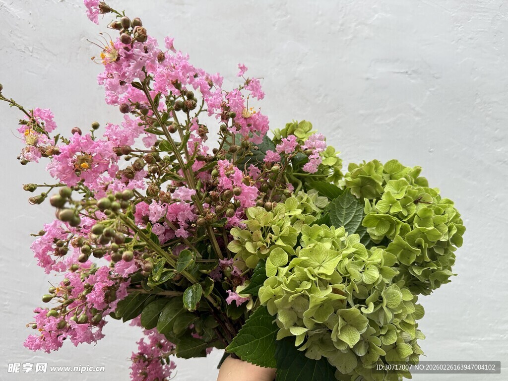 粉色与绿色花卉组合