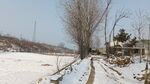 河南雪后小村庄