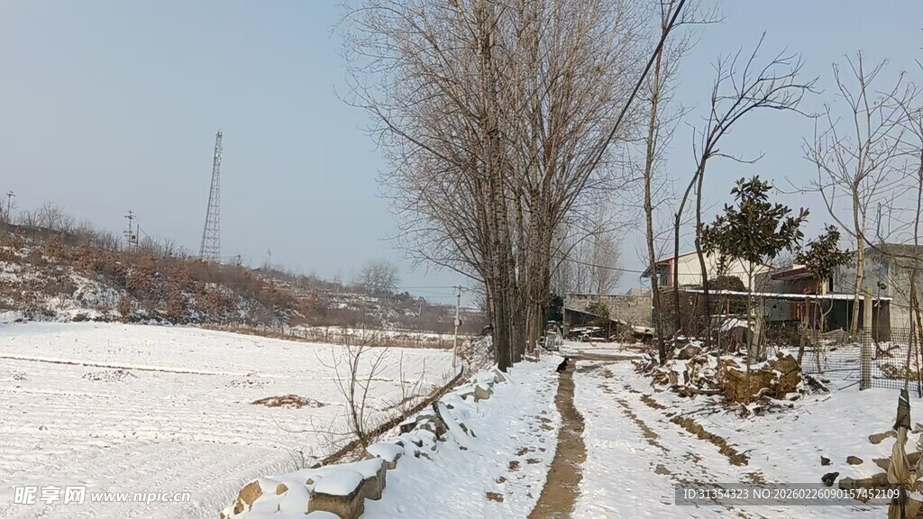 河南雪后小村庄