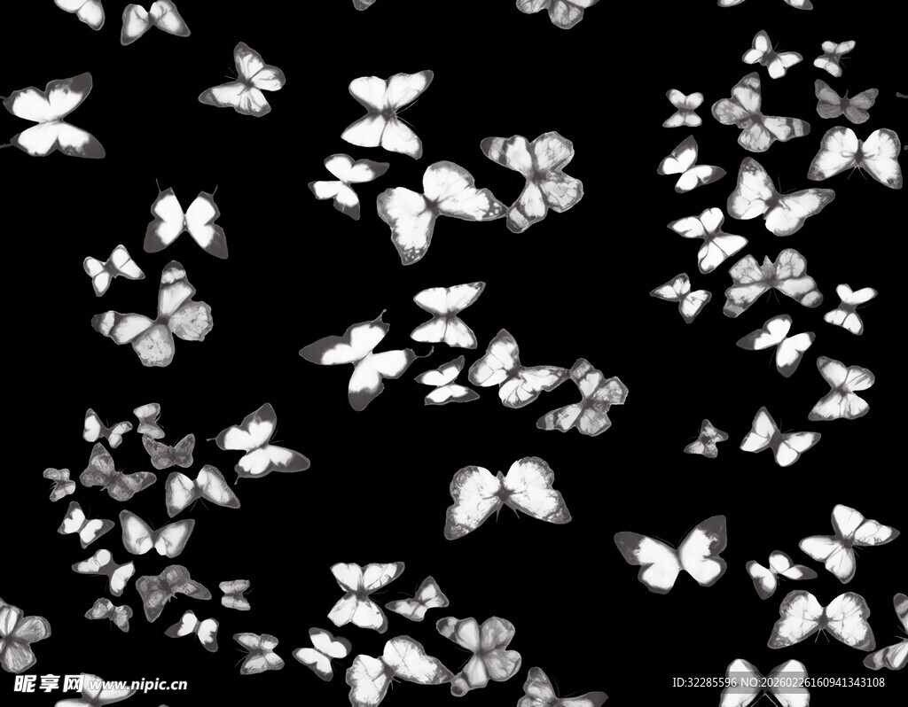 黑白花卉图案纹理背景